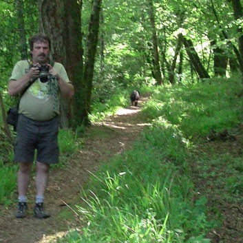 Die Spitze von der Rosteige im Hexenwald bei Huelgoat 05