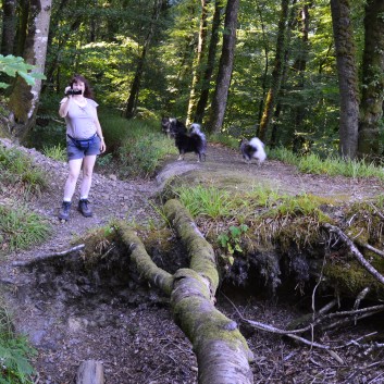 Die Spitze von der Rosteige im Hexenwald bei Huelgoat 08