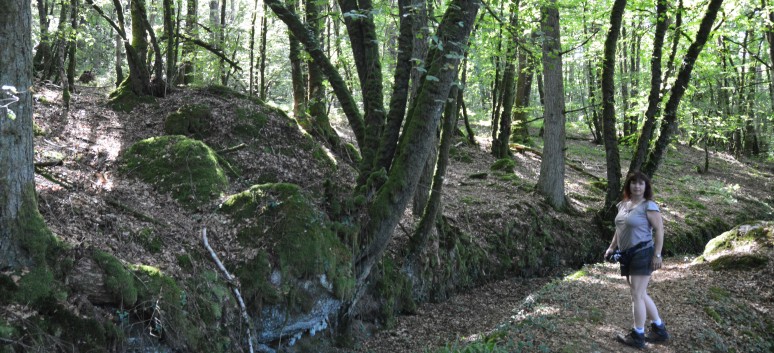 Die Spitze von der Rosteige im Hexenwald bei Huelgoat 15