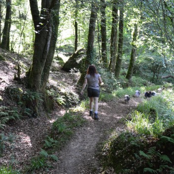 Die Spitze von der Rosteige im Hexenwald bei Huelgoat 16