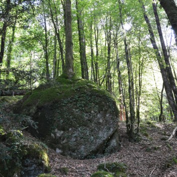 Die Spitze von der Rosteige im Hexenwald bei Huelgoat 17