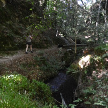 Die Spitze von der Rosteige im Hexenwald bei Huelgoat 26