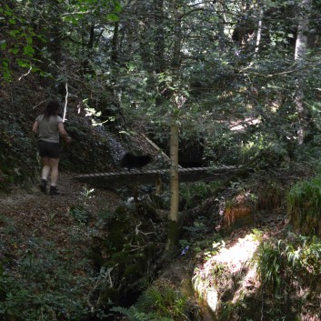 Die Spitze von der Rosteige im Hexenwald bei Huelgoat 27