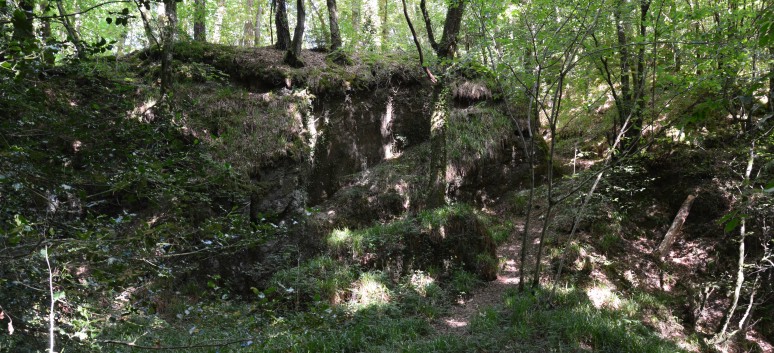 Die Spitze von der Rosteige im Hexenwald bei Huelgoat 28