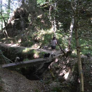 Die Spitze von der Rosteige im Hexenwald bei Huelgoat 29