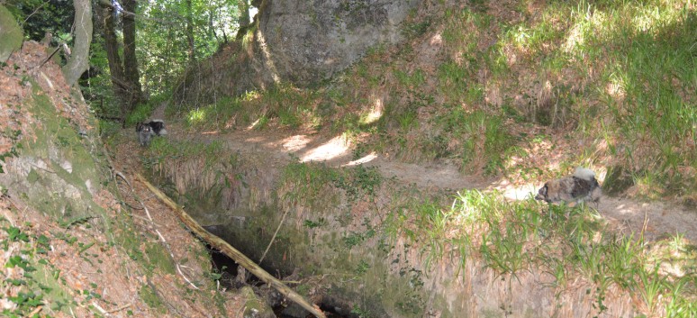 Die Spitze von der Rosteige im Hexenwald bei Huelgoat 30