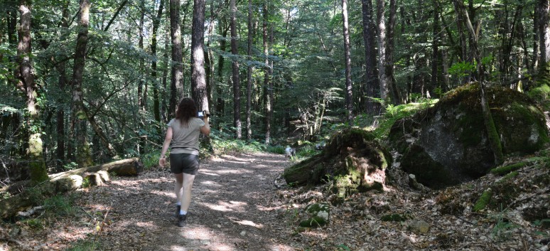 Die Spitze von der Rosteige im Hexenwald bei Huelgoat 36