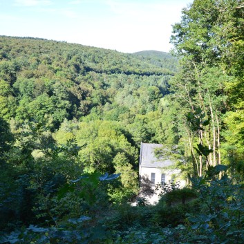 Die Spitze von der Rosteige im Hexenwald bei Huelgoat 39