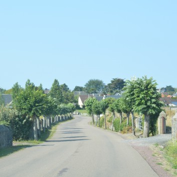 Die Westkste der Normandie mit den Mittelspitz von der Rosteige 05