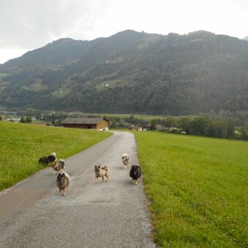 Fahrt nach Kroatien 2018 - 05