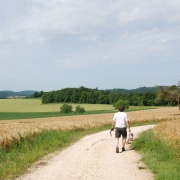 Galeriebild Mittelspitze im Elsass 2012