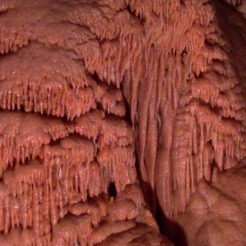 Grotte de Dargilan - 18