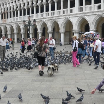 In Venedig mit den Spitzen von der Rosteige 07