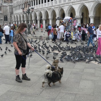 In Venedig mit den Spitzen von der Rosteige 08