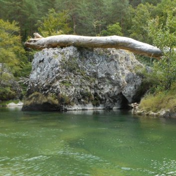 Kajakfahrt Gorges Du Tarn - 22