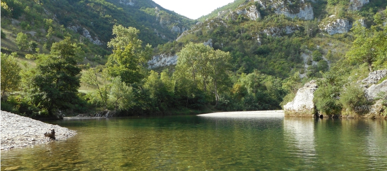 Kanufahrt Gorges Du Tarn - 07