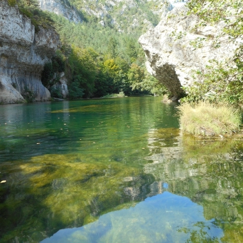 Kanufahrt Gorges Du Tarn - 62