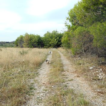 Kroatien-Auto Camping Krka - Umgebung 05