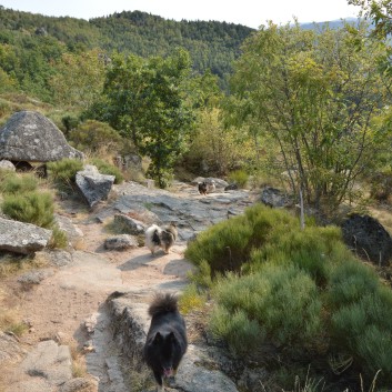 La Cascade in den Chevennen 2018 - 06