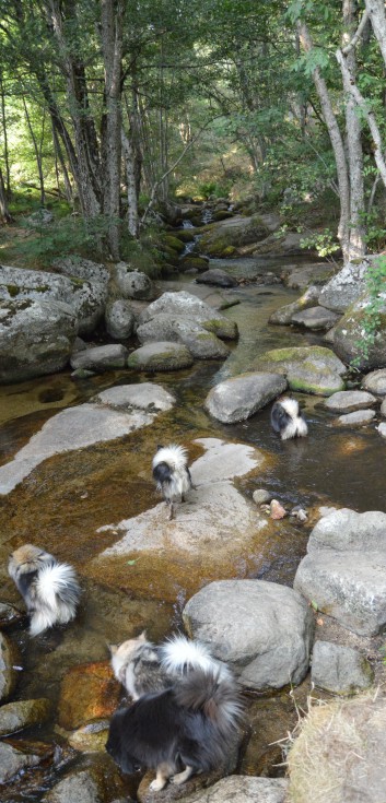 La Cascade in den Chevennen 2018 - 07