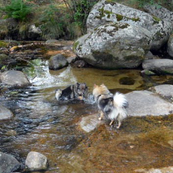 La Cascade in den Chevennen 2018 - 08