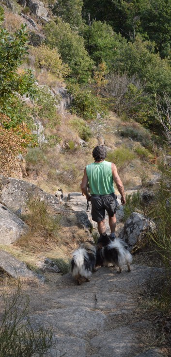 La Cascade in den Chevennen 2018 - 11