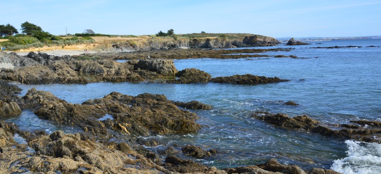 Mit den Spitzen an der Westkste der Bretagne 14