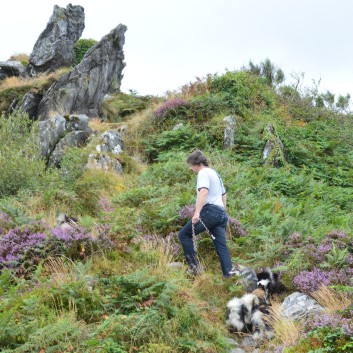 Mittelspitze in der Bretagne bei Huelgoat 33