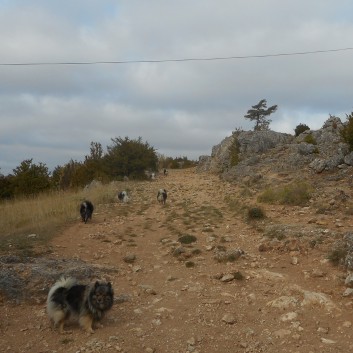 Mittelspitze von der Rosteige Rundfahrt 2017 Cevennes - 03