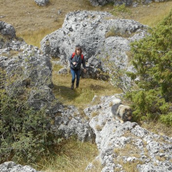 Mittelspitze von der Rosteige am Gorges Du Tarn 2017 - 214