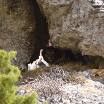 Mittelspitze von der Rosteige am Gorges Du Tarn 2017 - 222