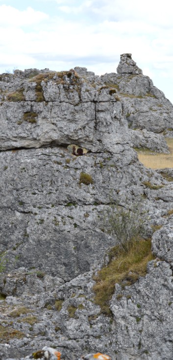 Mittelspitze von der Rosteige am Gorges Du Tarn 2017 - 224