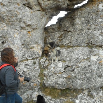 Mittelspitze von der Rosteige am Gorges Du Tarn 2017 - 249