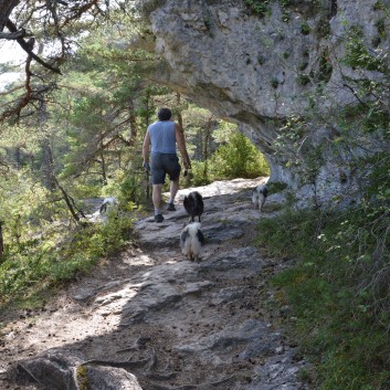 Mittelspitze von der Rosteige am Gorges Du Tarn 2017 - 43