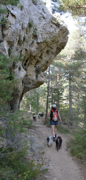 Mittelspitze von der Rosteige am Gorges Du Tarn 2017 - 55