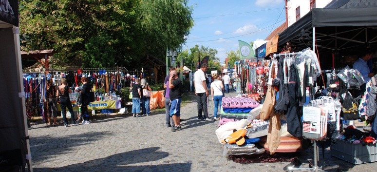 Mittelspitze von der Rosteige auf der CACIB 2011 Targu Mures in Rumnien 21