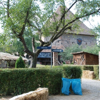 Mittelspitze von der Rosteige auf der CACIB 2011 Targu Mures in Rumnien 24