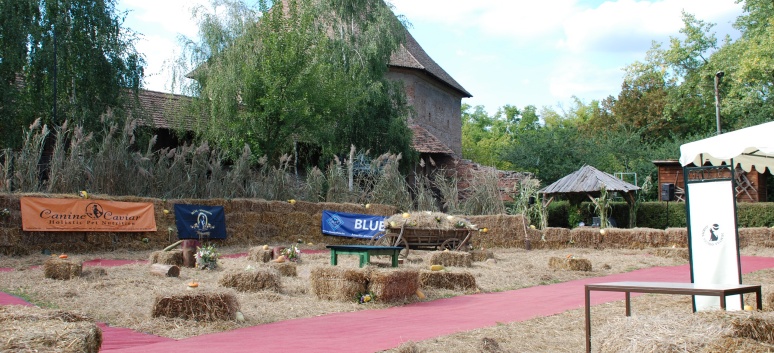 Mittelspitze von der Rosteige auf der CACIB 2011 Targu Mures in Rumnien 25