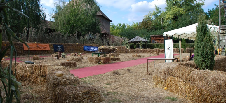 Mittelspitze von der Rosteige auf der CACIB 2011 Targu Mures in Rumnien 26