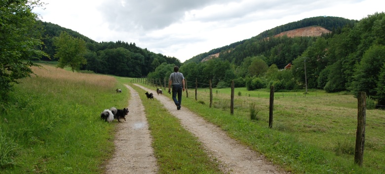 Mittelspitze von der Rosteige im Elsass 2012 - 40