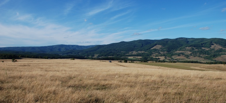 Mittelspitze von der Rosteige in Targu Mures in Rumnien 43