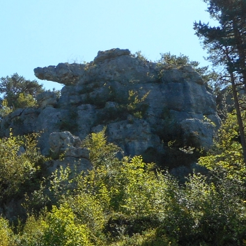 Montpellier le Vieux 30