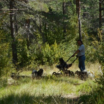 Nationalpark Grands Causses mit den Mittelspitzen 2015 - 117