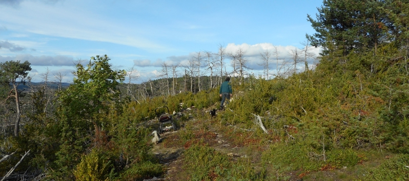 Nationalpark Grands Causses mit den Mittelspitzen 2015 - 63