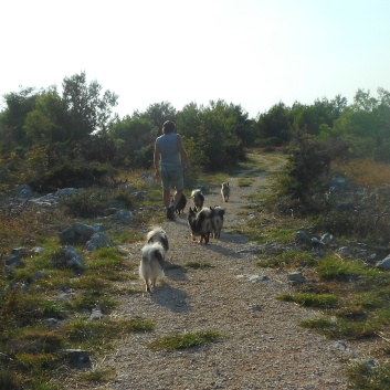 Nationalpark Krka - 32 - Aussichtspunkt Rogovo