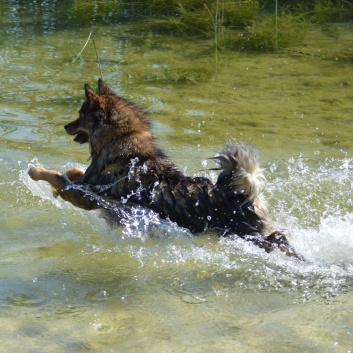 Nationalpark Krka - 40 - Badespass