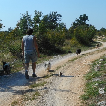 Nationalpark Krka - 76