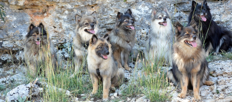 Nationalpark Krka - 82 - Spitzgruppenbild