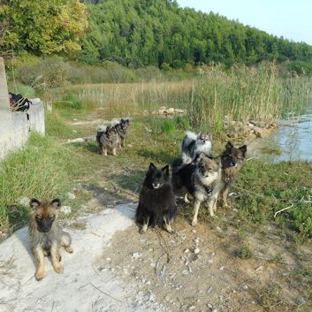 Nationalpark Krka - 86