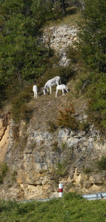 Offroad Gorges Du Tarn 2017 - 15